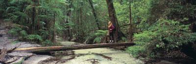 Fraser Island 1